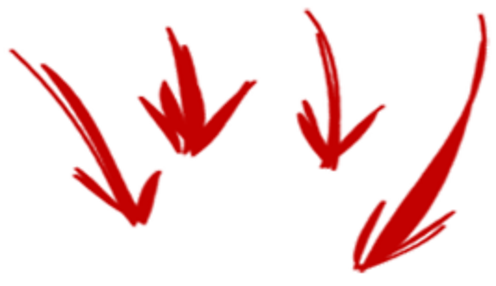 Image Title My Image